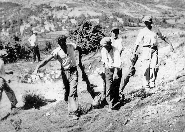 Krvnici su vrlo detaljno fotokamerom zabilježili egzekuciju - od odvođenja zarobljenih partizana na mjesto smaknuća i prizora pred pogubljenje, do plotuna streljačkog stroja, mrtvih tijela partizana, pucanja u one koji su još pokazivali znakove života i odvlačenja leševa u jame