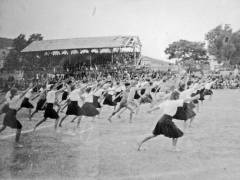 Prvomajska sletska vježba polaznika fiskulturnog kursa