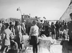 Prognanici s otoka (najviše je bilo Šoltana) u očekivanju brodova koji će ih prevesti kući